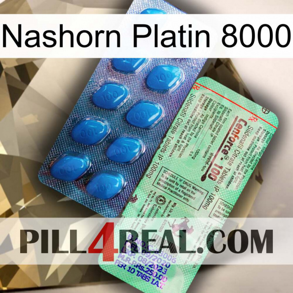 Rhino Platinum 8000 new02.jpg